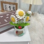 Crochet Flower Manufacturer - OEM Handwoven Rose Potted