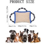 Dog Training Toy Manufacturer - OEM Interactive Bite Pillow