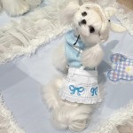Pet Dress Factory - OEM Retro Style Bow Strap Teddy