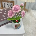 Crochet Flower Manufacturer - OEM Handwoven Rose Potted