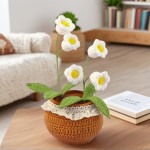 Crochet Flower Pot Factory - OEM Hand-crocheted Wool Valley