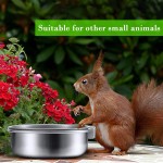 Bird Feeder Factory - OEM Hanging Stainless Steel Cage