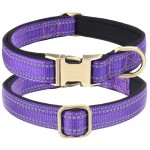 Dog Collar Factory - OEM Heavy-duty Reflective Neoprene