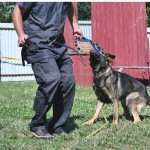 Dog Training Toy Manufacturer - OEM Interactive Bite Pillow