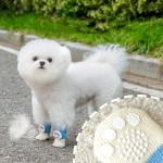 Pet Boots Factory - OEM Anti-slip Socks Paw Protector