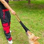 Pet Training Toy Factory - OEM Crazy Horse Leather Bite