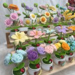 Crochet Flower Manufacturer - OEM Handwoven Rose Potted