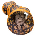 Pet Tunnel Toy Manufacturer - OEM Halloween Interactive