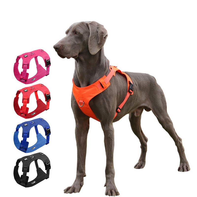 Pet Harness Factory - OEM Custom Logo Breathable Vest