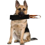 Pet Training Toy Factory - OEM Crazy Horse Leather Bite