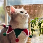 Pet Collar Factory - OEM Festival Decorations Cute
