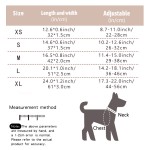 Dog Collar Factory - OEM Soft Leather Heavy-duty Buckle