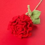 钩针花生产商-泰国牛奶棉玫瑰