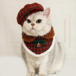 Pet Hat Set Manufacturer - OEM Cute Festive Clothing