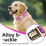 Dog Collar Factory - OEM Heavy-duty Reflective Neoprene