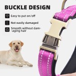 Dog Collar Factory - OEM Heavy-duty Reflective Neoprene