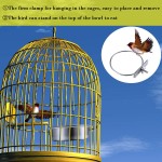 Bird Feeder Factory - OEM Hanging Stainless Steel Cage
