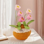 Crochet Flower Pot Factory - OEM Hand-crocheted Wool Valley