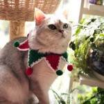 Pet Collar Factory - OEM Festival Decorations Cute