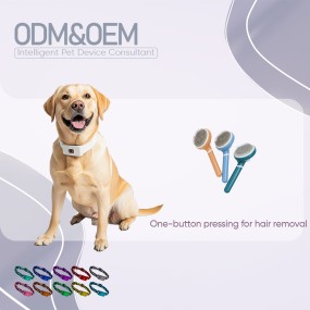 Self Cleaning Pet Comb Manufacturer - Wholesale One-button Hair Removal Tangle Remover