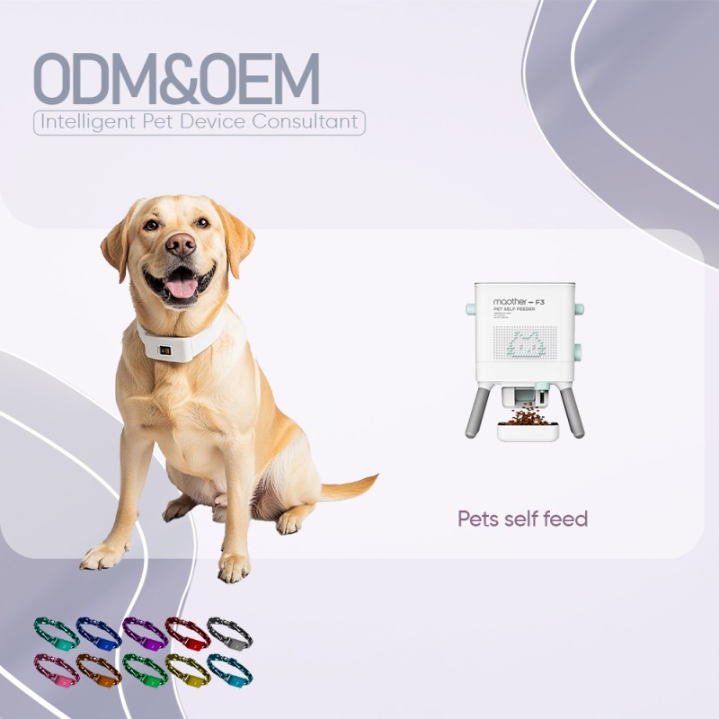 Pet Food Dispenser Supplier - New Design Gravity Puzzle Self Feeder Removable