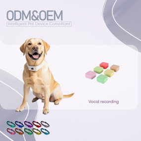 Pet Communication Buttons Factory - OEM&ODM Voice Recording Mini Hunger Words