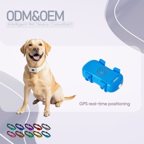 Smart Pet Tracker Factory - Oem&odm Real Time Under Skin Long Range Waterproof