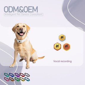 Pet Training Buttons Supplier - Wholesale Modern Pre-recorded Speech Talking