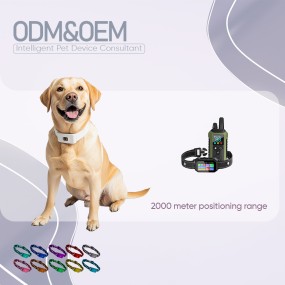 GPS Pet Collar Manufacturer - Wholesale Smart 4G Real-time IP67 Mobile App