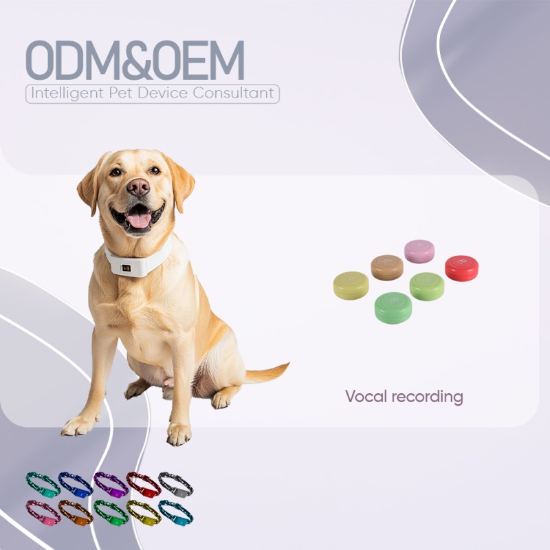 Pet Talking Buttons Manufacturer - OEM&ODM Voice Recording Communication Speaking
