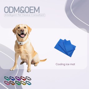 PET Cooling Gel Mat Manufacturer - OEM&ODM Foldable Ice Cold Cushion Bed