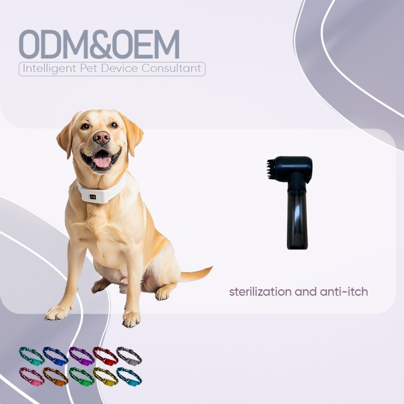 Silicone Pet Brush Manufacturer - OEM&ODM 2025 New Arrival Soft Rubber Massage