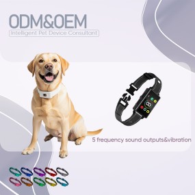 Dog Training Collar Supplier - Oem&odm Intelligent Progressive 8-level Sensitivity