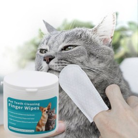 Pet Ear Wipes Factory - OEM Custom Natural Ingredients