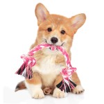 Pet Rope Toy Manufacturer - OEM Pink Tough Teeth Cleaning