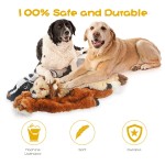 Pet Interactive Toy Manufacturer - OEM Durable Leather Shell