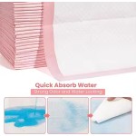 Pet Diaper Pad Manufacturer - OEM Thickened Absorbent Pink