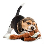 Pet Interactive Toy Manufacturer - OEM Durable Leather Shell