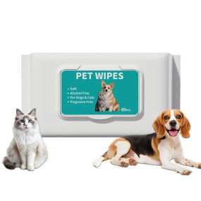 Pet Wet Wipes Factory - OEM Custom Eco Friendly Outdoor