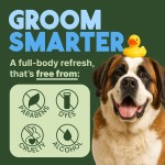 Pet Toilet Wipes Manufacturer - OEM Custom Oversized Fragrance