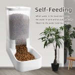Pet Feeder Set Factory - OEM 3.8L Large Capacity Automatic