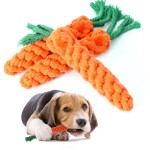 Pet Chew Toy Factory - OEM Carrot Cotton Clean Teeth