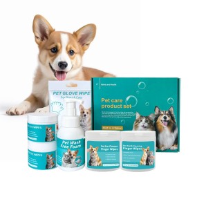 Pet Teeth Wipes Manufacturer - OEM Convenient No Rinse