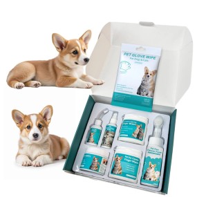Pet Wipes Set Manufacturer - OEM Portable Mild Natural
