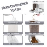 Pet Feeder Set Factory - OEM 3.8L Large Capacity Automatic