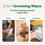 Pet Toilet Wipes Manufacturer - OEM Custom Oversized Fragrance
