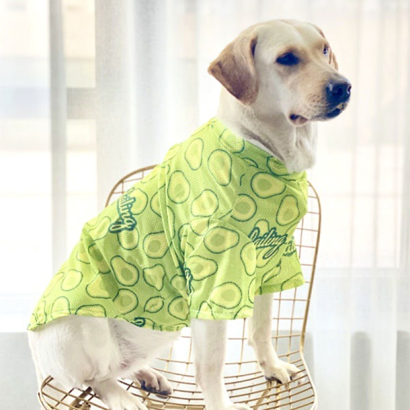 Large Breathable Mesh Sun Protection Clothes for Spring Summer Anti-Shedding Printed Golden Retriever Border Classic Polyester