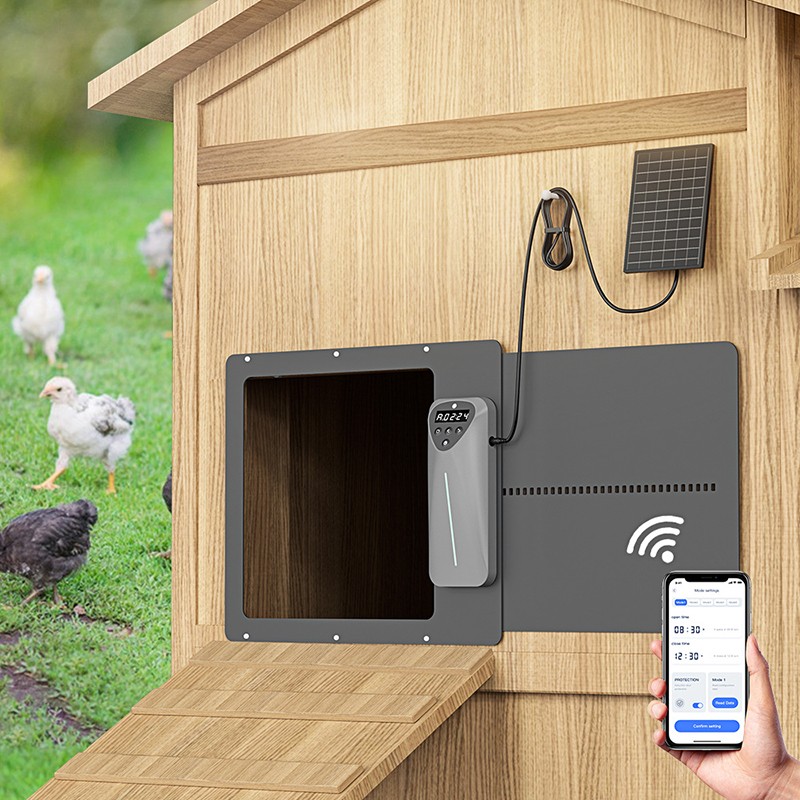 Automatic Chicken Coop Door Manufacturer - Solar Rechargeable Remote Timer Sensor