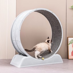 互动宠物跑步机供应商-静音运动猫轮太阳能跑步轮