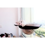 Cat Window Bed Factory - Strong Suction Summer Style Perch Hammock Bulk Supply